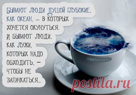 Позитивные мудрости (8 открыток)