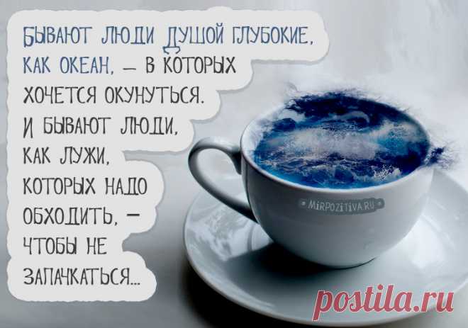 Позитивные мудрости (8 открыток)