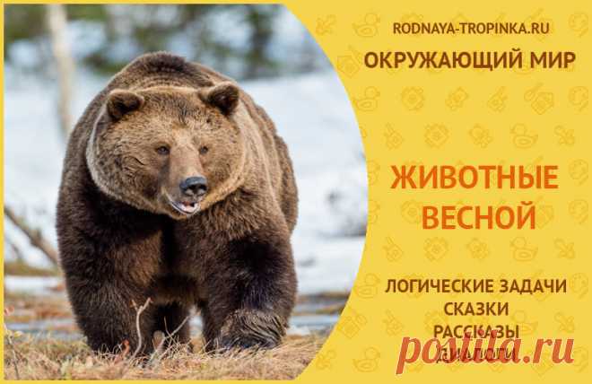 Животные весной: познавательные сказки и рассказы, логические задачи, игры - диалоги Животные весной: занимательные познавательные рассказы и сказки для детей, логические задачи о жизни животных весной для детей в картинках и заданиях.