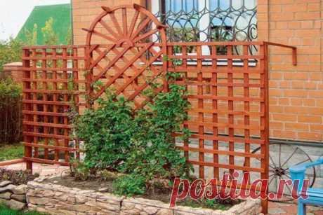 Опоры для вьющихся растений своими руками: фото самодельных шпалер, металлических кустодержателей, арок, подпорок, сеток для вьющихся растенйи