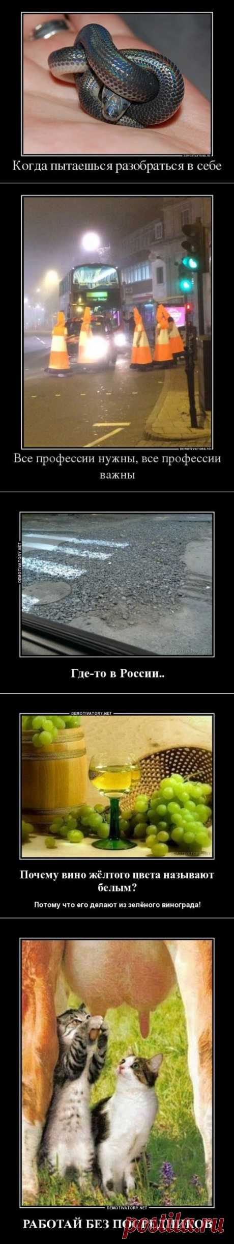 Демотиваторы на Бугаге (18 шт)
