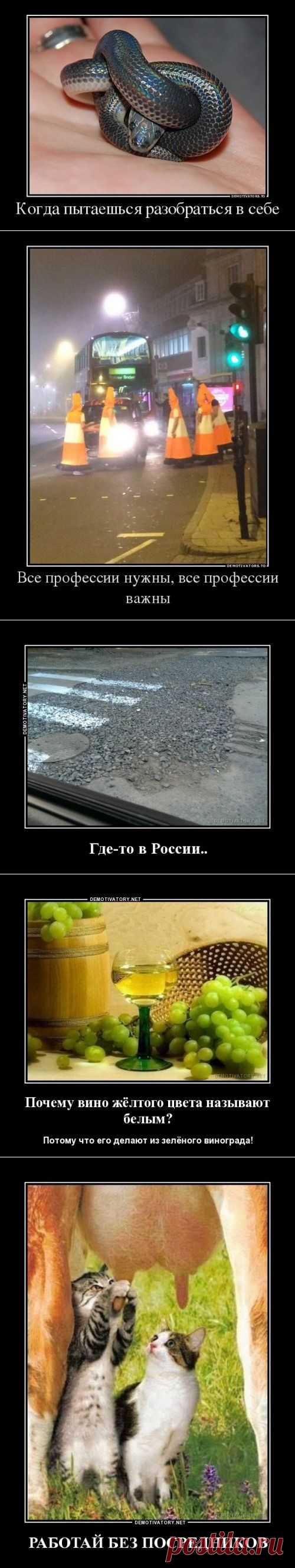 Демотиваторы на Бугаге (18 шт)