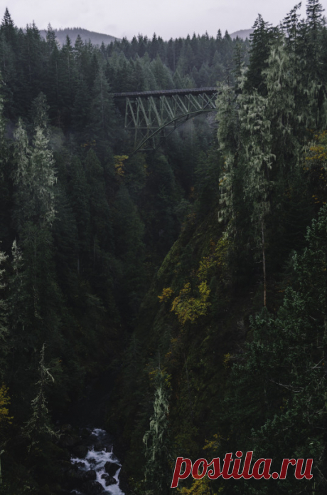 (1) Tumblr