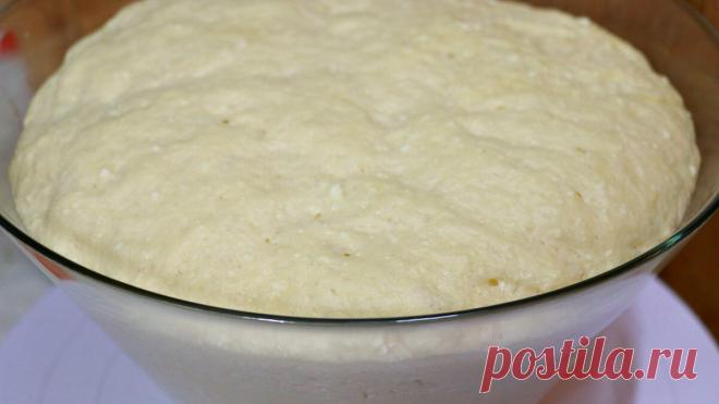 ТЕСТО ТВОРОЖНОЕ ДРОЖЖЕВОЕ рецепт. | СЕМЕЙНАЯ КУХНЯ | Яндекс Дзен