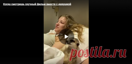 Когда смотришь скучный фильм вместе с девушкой - Поздравления.тк - Поздравления и пожелания в стихах