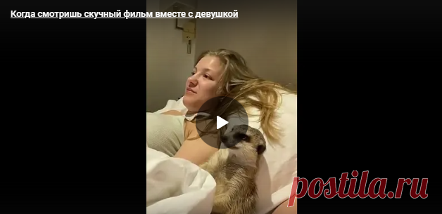 Когда смотришь скучный фильм вместе с девушкой - Поздравления.тк - Поздравления и пожелания в стихах