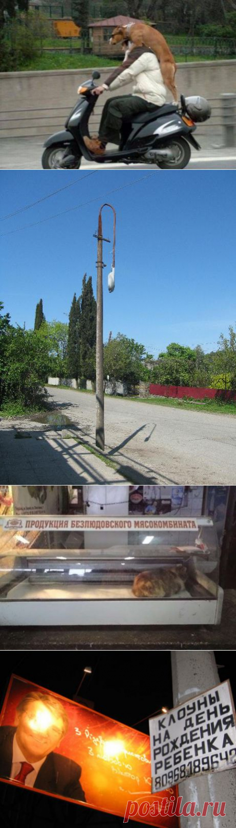 До чего смешно! | Как прекрасен этот мир