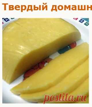 Приготовление сыра в домашних условиях, 23 рецепта домашнего сыра