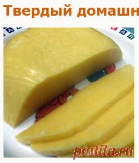 Приготовление сыра в домашних условиях, 23 рецепта домашнего сыра
