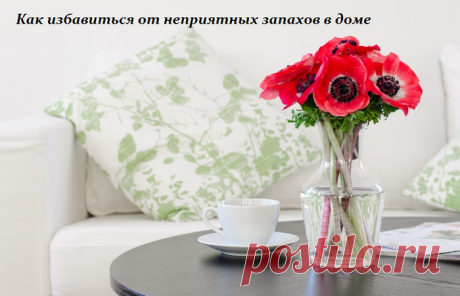 Как избавиться от неприятных запахов в доме.