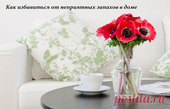 Как избавиться от неприятных запахов в доме.