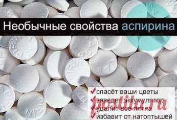 Умные Советы, идеи и мысли! – Google+