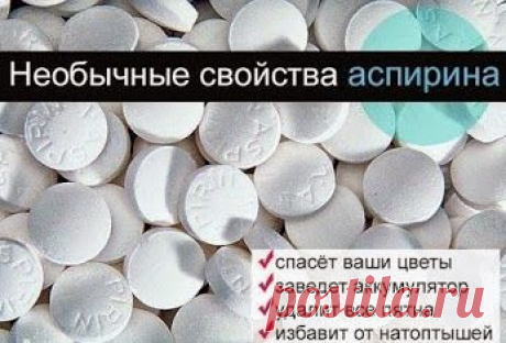 Умные Советы, идеи и мысли! – Google+