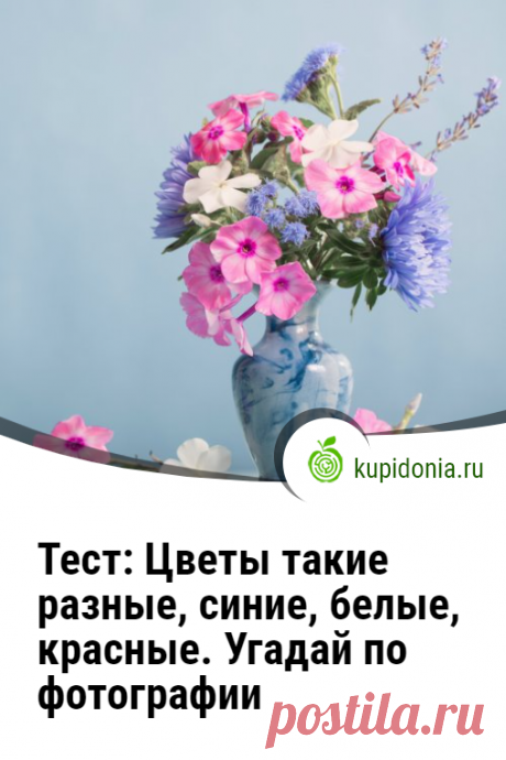 Тест: Цветы такие разные, cиние, белые, красные. Угадай по фотографии. Развлекательный тест от цветах, в котором мы собрали 20 вопросов с фотографиями и подсказками. Проверьте свои знания!