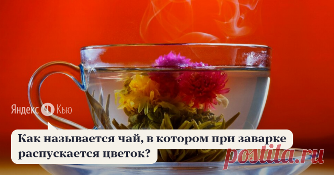 «Как называется чай, в котором при заварке распускается цветок?» – Яндекс.Кью 21 декабря 2019 Иван Жилин ответил: Связанный чай, он же цветочный чай, - это соединенная вручную с помощью нити и затем скрученная в определенную форму композиция из чайного листа и цветков различных растений, чаще всего тех, которые используются в китайской медицине. 

Связанный чай в больших количествах производят традиционно чайные провинции - Фуцзянь, Хунань, 

Сычуань, Юньнань. Чаще всего ч...