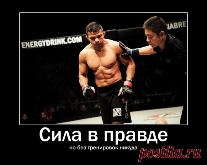 Про тренировки утром!