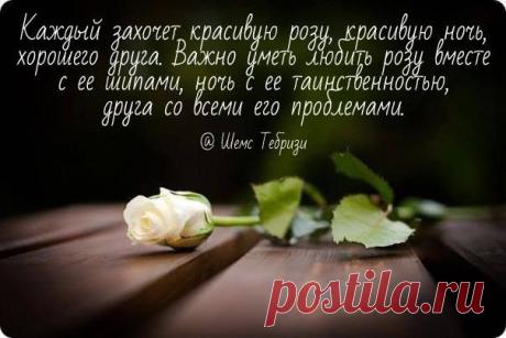А если не умеешь -- довольствуйся ромашками)