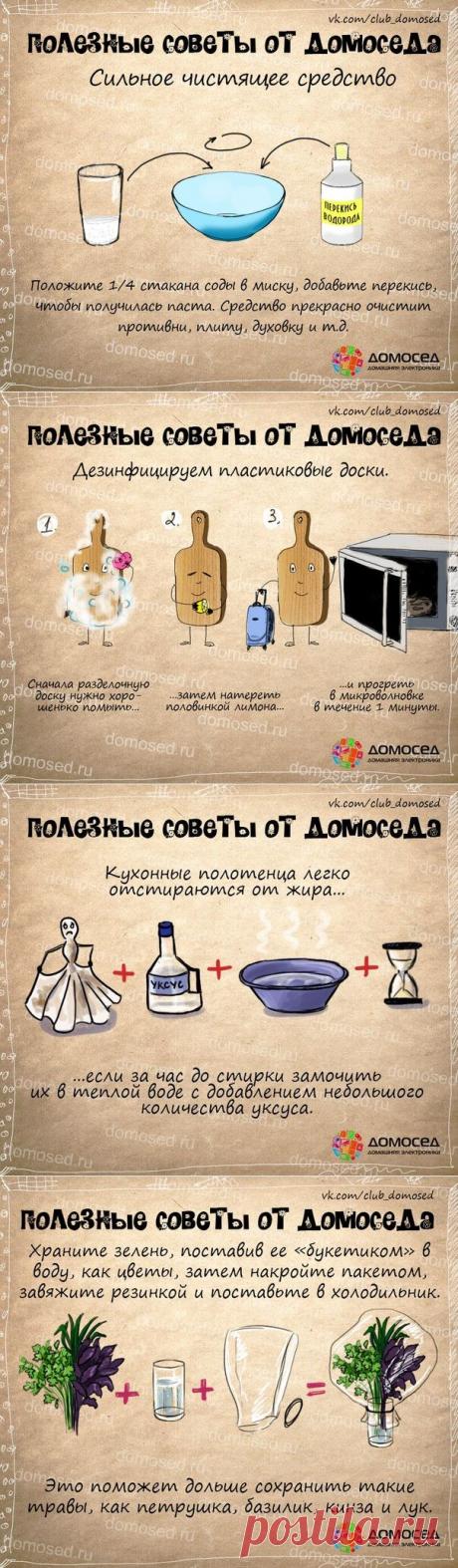 Полезные советы от Домоседа - хозяйство