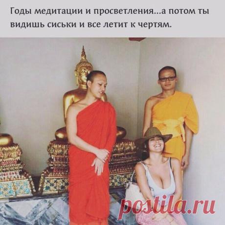 синтепон