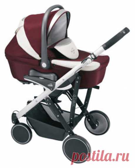 CAM Pulsar