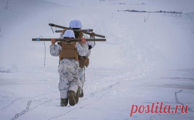 В МИД России назвали провокационными учения НАТО Nordic Response. Россия следит за начавшимися учениями НАТО Nordic Response, в которых принимают участие Финляндия и Швеция, недавно вступившие в альянс.