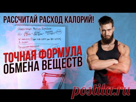 Основной обмен веществ РАССЧИТАТЬ