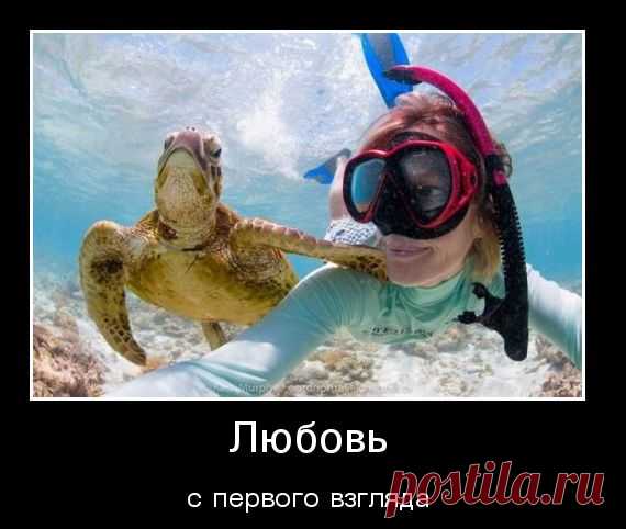 Демотиваторы с животными