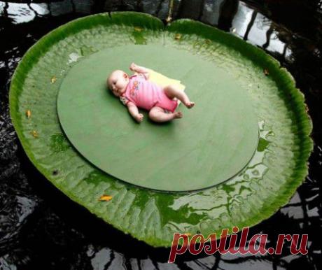 Необычные фото