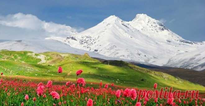 Санатории Ессентуки цены 2021 - Здравницы юга России