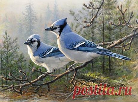 Схема вышивки «№443578» - Вышивка крестом