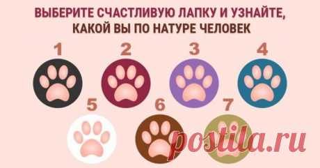Выберите СЧАСТЛИВУЮ лапку и узнайте, какой вы по натуре человек