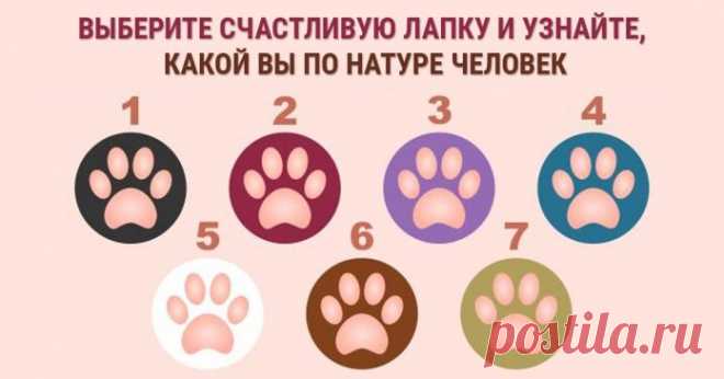 Выберите СЧАСТЛИВУЮ лапку и узнайте, какой вы по натуре человек
