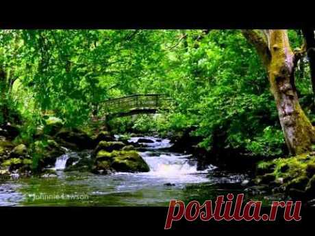 Relax 8 Hours-Relaxing Nature Sounds-Study-Sleep-Meditation-Water Sounds-Bird Song - YouTube