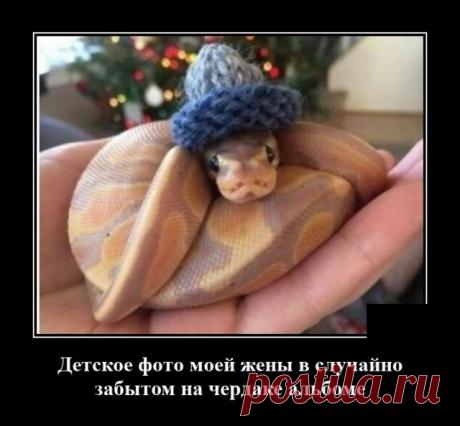 Змейка, прям как из мультфильма.