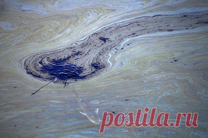 Разлив нефти в США привел к экологической катастрофе. Разлив нефти у побережья Южной Калифорнии привел к экологической катастрофе. В результате бедствия погибли рыбы, птицы испачкались в нефти, а водно-болотные угодья были загрязнены. Примерно три тысячи баррелей образовали нефтяное пятно, покрывающее около 13 квадратных миль Тихого океана.