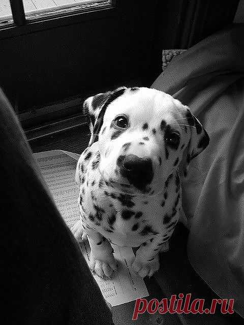 ❤