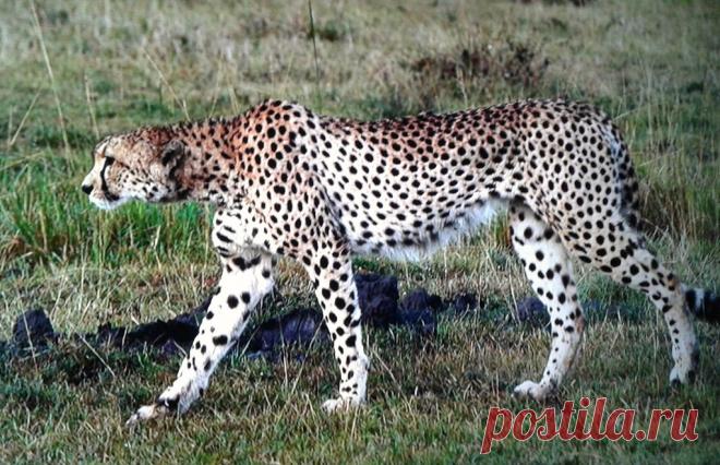 .. Explore sarahm195's photos on Flickr. sarahm195 has uploaded 154 photos to Flickr.