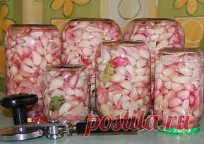 Маринованный чеснок холодный способ ! вкусняшка
Состав:
Чеснок – 1 кг
Вода – 600 мл
Сахар – 4 ст. л.
Чеснок – 4 ст. л.
Черный перец горошком – 7 шт.
Гвоздика – 10 бутонов
Уксус – 3 ст. л.
Приготовление:
Очистите овощ от верхнего слоя шелухи.
В отдельную кастрюлю добавьте воду, сахар, соль, гвоздику и перец горошком. Вскипятите, снимите с огня кастрюлю и влейте уксус.
В стеклянную банку уложите рядами головки и доверху залейте маринадом.
Плотно закройте крышкой и уберите в прохладное место, но н