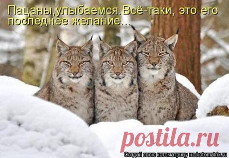 улыбки