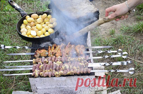 Куриные сердечки на шампурах. Дачка на прокачку - как мы прокачиваем нашу дачу