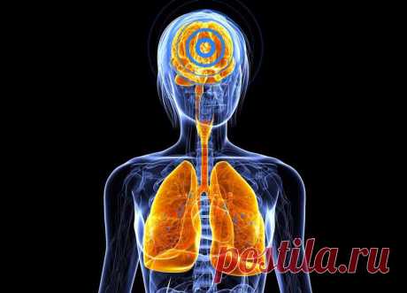 Выполняем рыдающее дыхание для оздоровления, похудения и омоложения С помощью уникальной методики рыдающего дыхания можно не только оздоровить свой организм, но и похудеть и помолодеть!