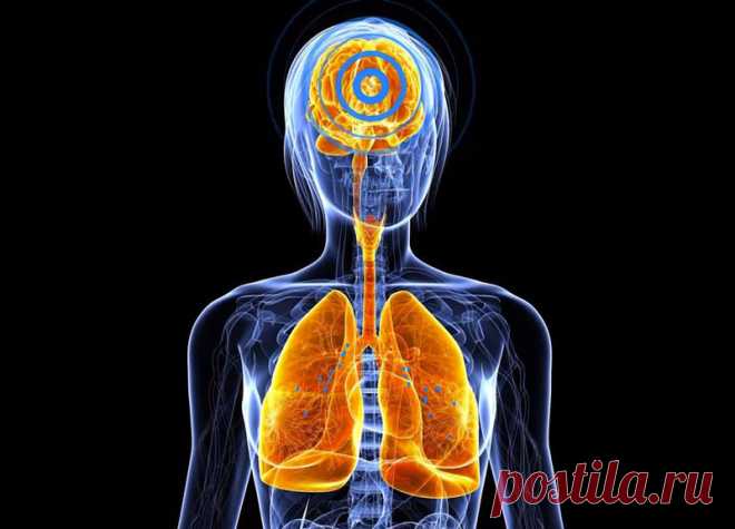 Выполняем рыдающее дыхание для оздоровления, похудения и омоложения С помощью уникальной методики рыдающего дыхания можно не только оздоровить свой организм, но и похудеть и помолодеть!