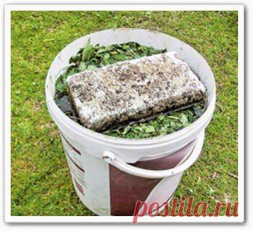 Натуральное удобрение из крапивы (видео онлайн)