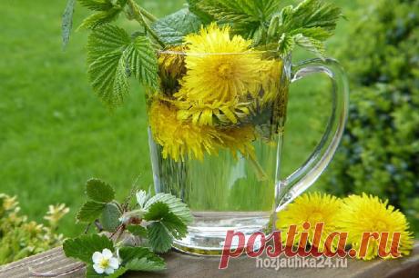 ЭТОТ ЗОЛОТОЙ НЕКТАР ЧИСТИТ КРОВЬ И ОБНОВЛЯЕТ ПЕЧЕНЬ НА КЛЕТОЧНОМ УРОВНЕ! ТАКОГО ЭФФЕКТА Я НЕ ОЖИДАЛА! — Journal women❜s