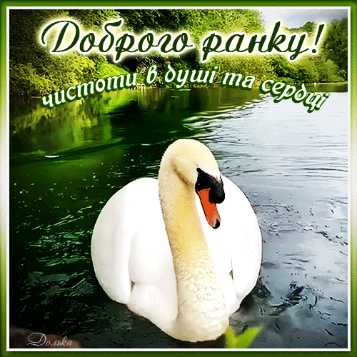 ДОБРОГО РАНКУ!