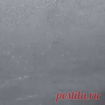 (49) Одноклассники