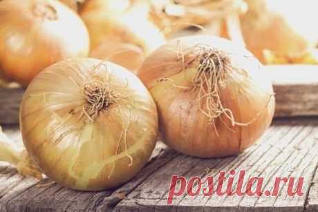 Папилломы на теле выводятся с помощью репчатого лука.
Нужно, срезав верхнюю часть, сделать в луковице отверстие, засыпать туда чайную ложку соли и оставить до утра. Утром слить из луковицы образовавшийся сок и смазать им папилломы.
Делать так до тех пор, пока кожные образования не начнут исчезать.
Совет травника
Микроспорию — лишай, подхваченный от собак и кошек, довольно успешно излечивают домашним способом:
- разрезают на две дольки кишмиш — изюм, натирают мякотью поражённо