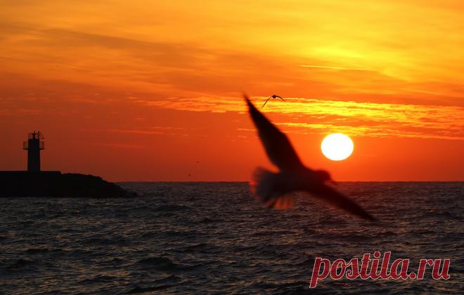 Фотохроника 21 января - фото 4 из 10