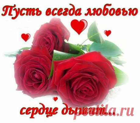 Плейкаст «ПУСТЬ ВСЕГДА ЛЮБОВЬЮ СЕРДЦЕ ДЫШИТ!»