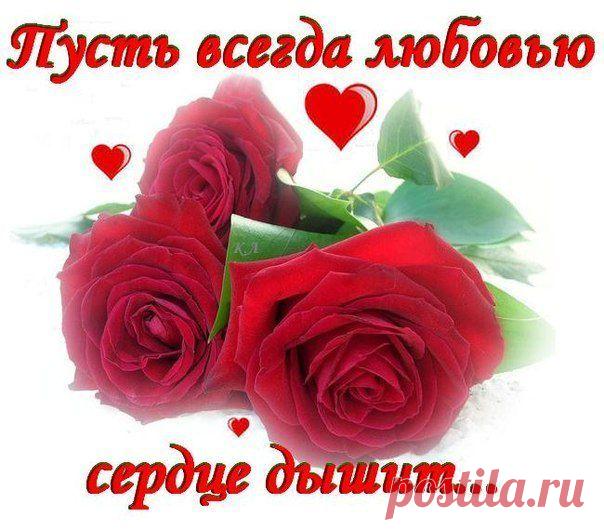 Плейкаст «ПУСТЬ ВСЕГДА ЛЮБОВЬЮ СЕРДЦЕ ДЫШИТ!»